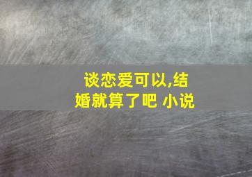 谈恋爱可以,结婚就算了吧 小说